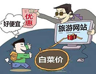 農村旅游網站建設及用戶體驗度的提高？